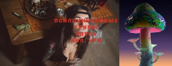 а пвп мука Ельня