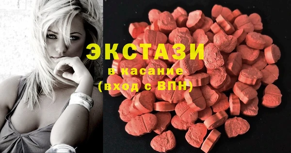 ECSTASY Елизово
